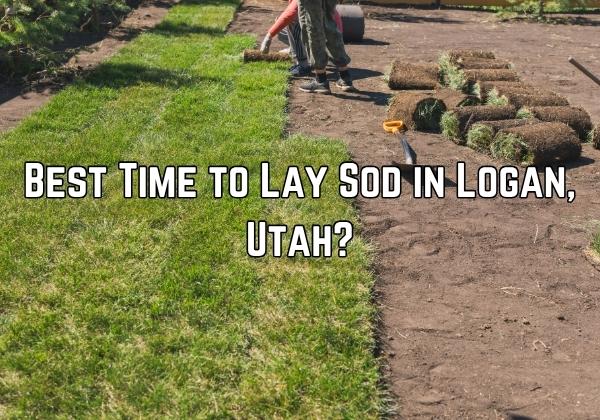 An Sod installation picture with text on it saying When Is the Best Time to Lay Sod in Logan, Utah