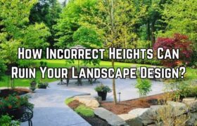 How Incorrect Heights Can Ruin Your Landscape Design