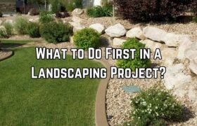 A lawn photo with text that reads What to Do First in a Landscaping Project