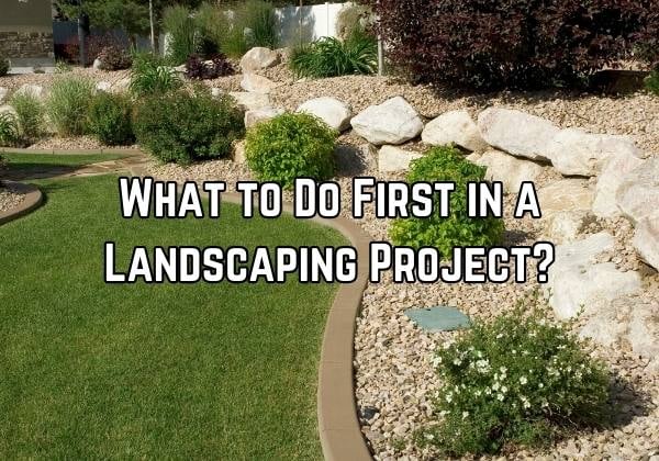 A lawn photo with text that reads What to Do First in a Landscaping Project