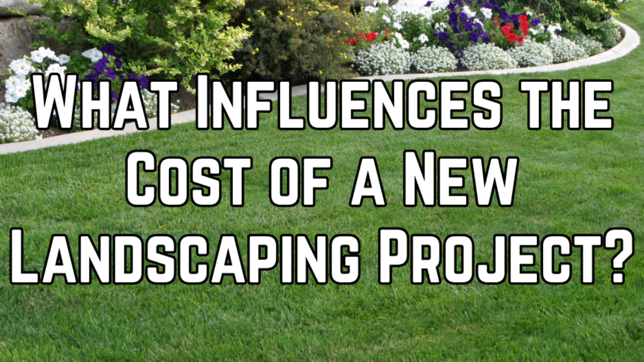 WHAT TO DO FIRST IN A LANDSCAPING PROJECT (1)