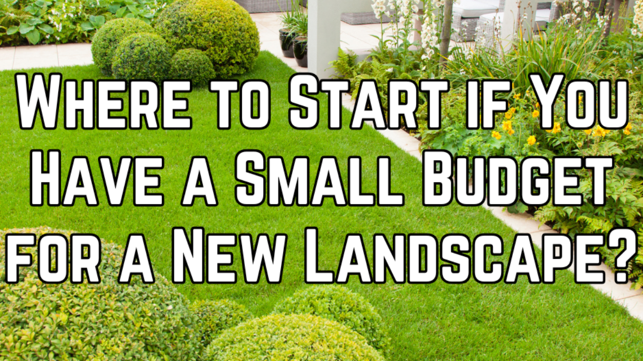 WHAT TO DO FIRST IN A LANDSCAPING PROJECT