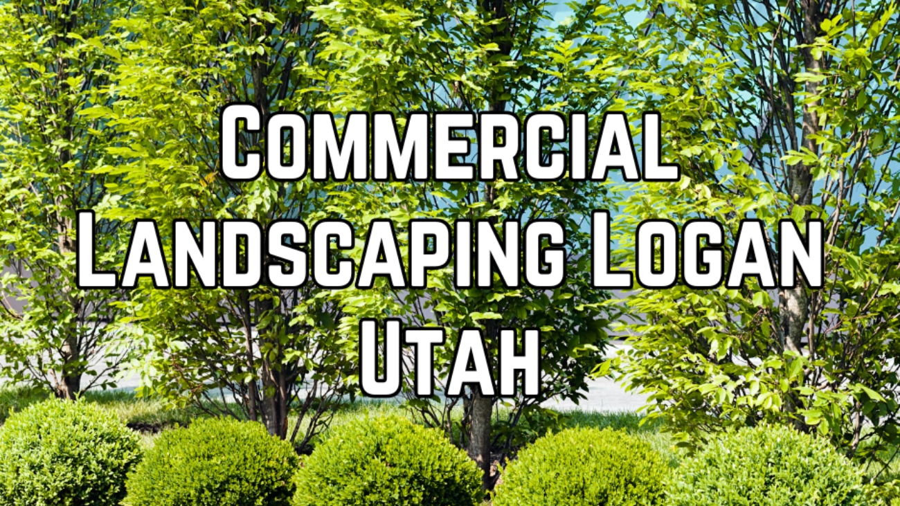 WHAT TO DO FIRST IN A LANDSCAPING PROJECT (3)