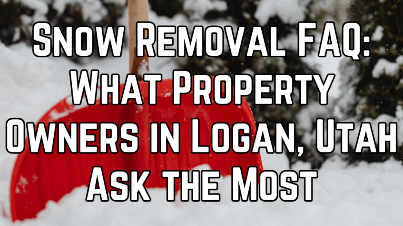 WHAT TO DO FIRST IN A LANDSCAPING PROJECT (6)