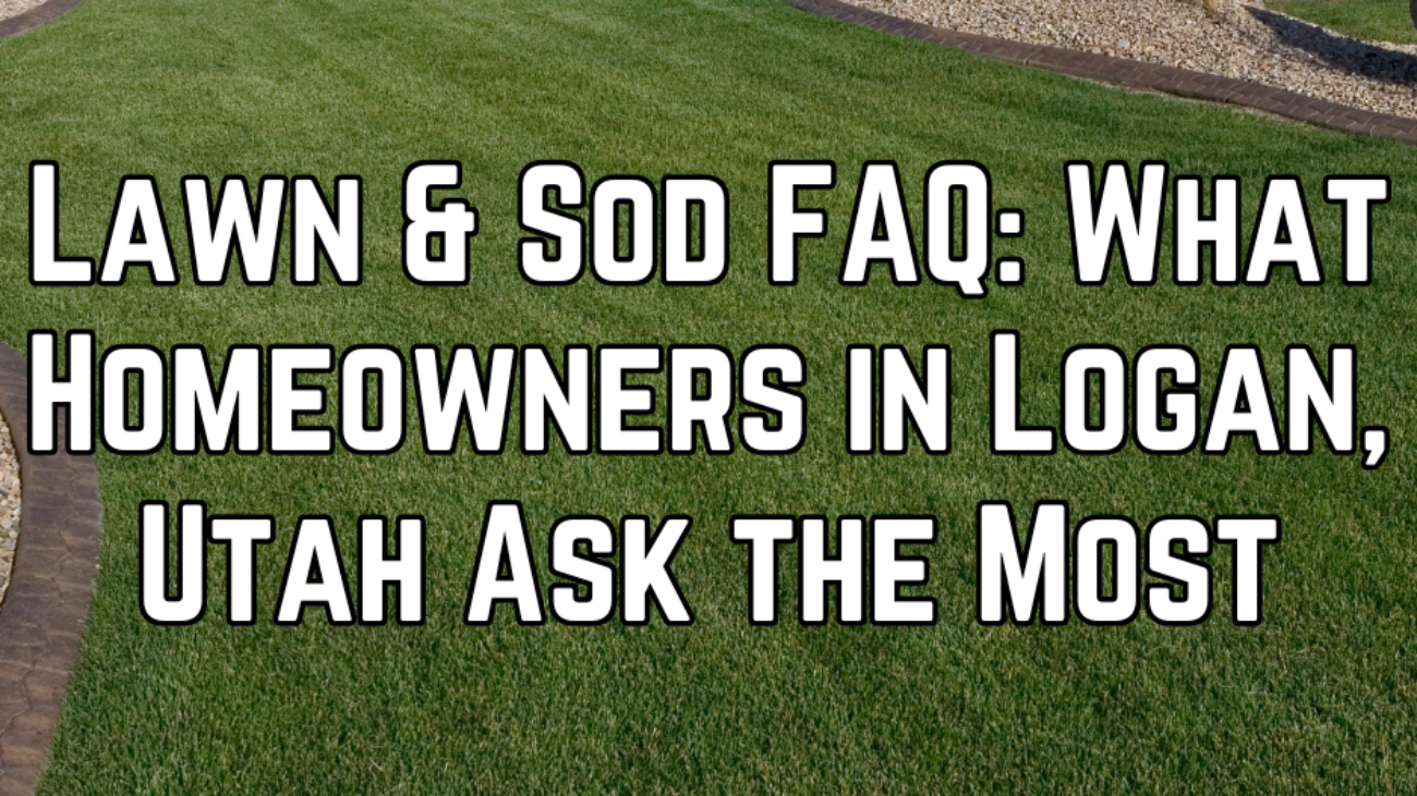 WHAT TO DO FIRST IN A LANDSCAPING PROJECT (7)