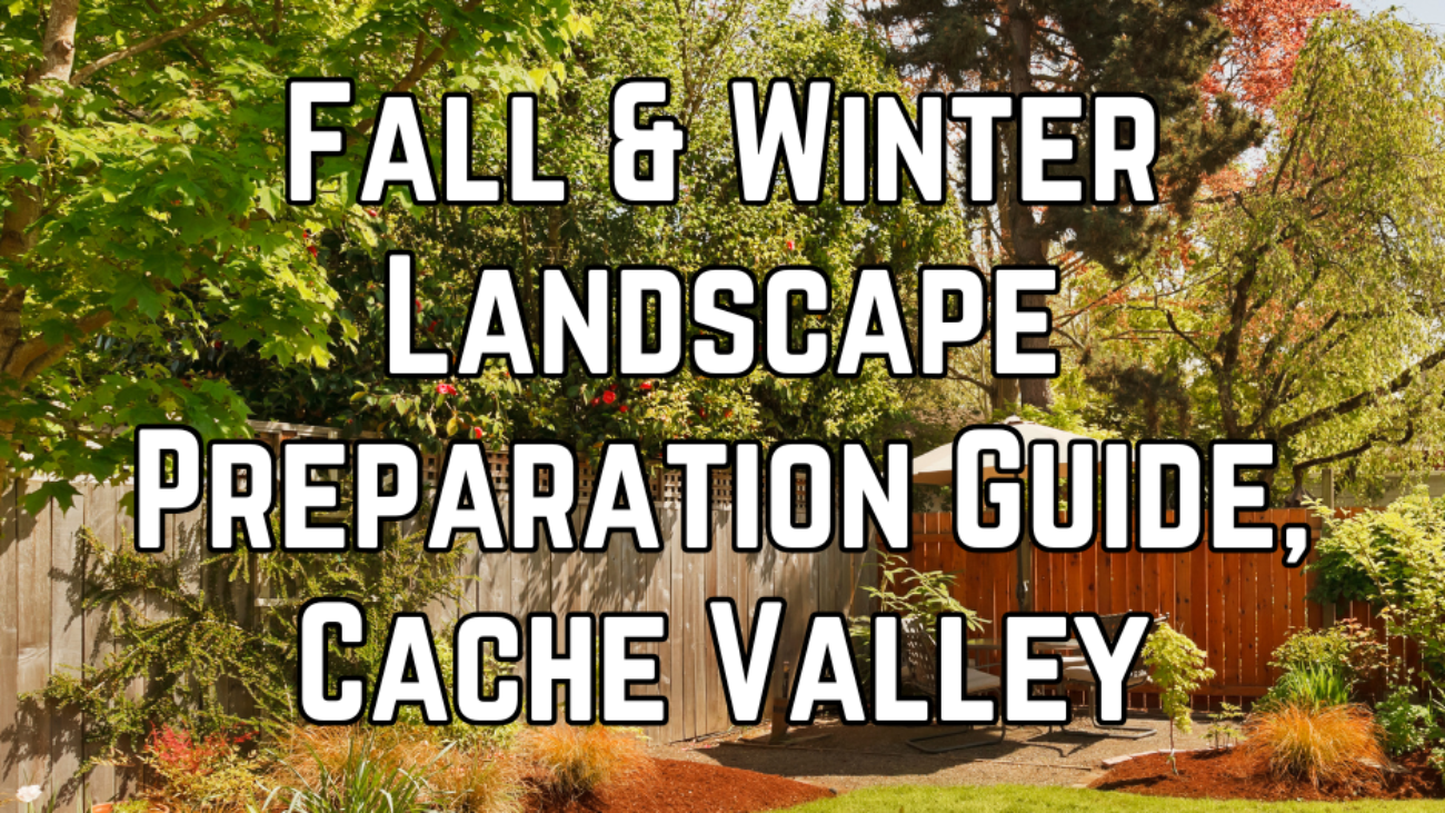 WHAT TO DO FIRST IN A LANDSCAPING PROJECT (8)