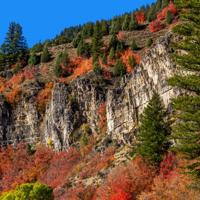 Bear Lake Utah
